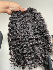 Burmese Curly